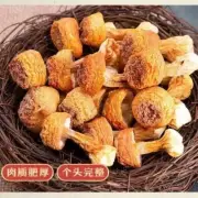 Delicious Dehydrated Almond Mushroom of The Sun Fungus Dry God's Mushroom 250g
