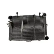 Alloy 61335010000 Radiator for KTM 1290 Super Duke R 2014-2016