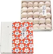 Wasanbon Sugar Dried Confectionery - 60g 1 Box