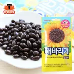 韓國 LOTTE 樂天 葵花子巧克力 30G 葵花籽 葵瓜子 巧克力豆 葵花子果子球 巧克力