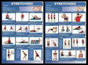 STRETCHING EXERCISES WORKOUT Professional Fitness Gym Wall Charts 2 POSTER SET