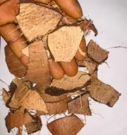 Coconut Shell Chips Eco Friendly 100% Ceylon Natural Organic For BBQ Charcoal
