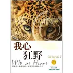 我心狂野 探索男人靈魂奧祕，恢復男性英雄本色！ A1039A WILD AT HEART