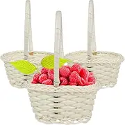 ibasenice 10 Pcs Woven Storage Baskets with Handle Farmhouse Style Rattan Flower Baskets for Picnics Wedding Home Decoration
