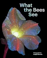 What the Bees See: A Honeybee's Eye View of the World