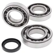 All Balls Crank Shaft Bearing Kit For 2003-2005 Polaris Magnum 330 2x4