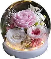 Valentine's Day Send her Eternity Rose Bouquet, Glass Dome Bouquet, Suitable for Women Gifts for mom, Grandma, Friend, Wife, Girlfriend Birthday Gift (1, Roses Light Pink)