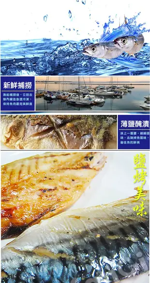 免運【老爸ㄟ廚房】正宗頂級肥美挪威鯖魚片200-220g/片 (4.7折)