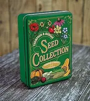 Vintage Green Seeds Storage Tin x1 Perfect for Garden Necessities For Garden Plants by Thompson and Morgan