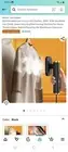 Hand Hel Steamer