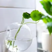 Wall Mounted Fish Tank Bowl Bubble Aquarium Hanging Goldfish Terrarium Bet Z6D0