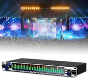31-Band Stereo Graphic Equalizer, Audio Digital EQ Equalizer,LED Spectrum Display,10 Preset Effects,Automatic Noise Reduction,DSP Processing Chip,Signal Processors for Recording Studio