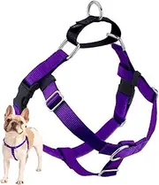 2 Hounds Design Freedom No Pull Dog Harness | Adjustable Gentle Comfortable Control for Easy Dog Walking | for Small Medium and Large Dogs | Made in USA | Leash Not Included | 1" MD Purple
