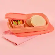 Tupperware Slim Lunch Container