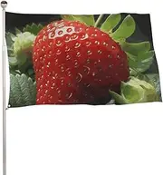 Fruit Strawberry Flag 35x59 in Double Sided Printed Garden Flag Decorative Banner No Fade Yard Flag with Brass Grommets Hanging Photo Backdrop for Indoor Outdoor Party Home Decor