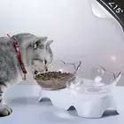 PurrBowl Orthopedic Anti-Vomiting Cat Feeder