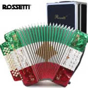 Rossetti 3112 GCF Sol 31 Button Diatonic Accordion - Red White Green with Case