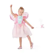 Fairy Princess Costume