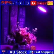 220V LED Grow Light Red Blue E27 2835 SMD LED Plant Lamp for Indoor Phyto Flower