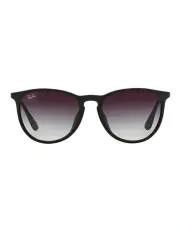[Ray-Ban] Erika Black RB4171F Sunglasses