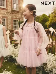Pink Embroidered Long Sleeve Mesh Party Dress (3-16yrs) (E57561) | $55 - $68