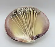Natural Clam Shell with 24 Real Seashell tip Toothpicks / Party picks - NEW