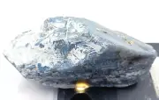 1199. 5 Ct Natural Blue Opal Uncut Rough IGL Certified Australia Loose Gems M25