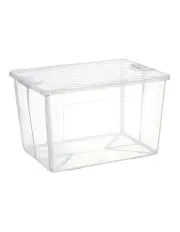 [BR Home] Collapsible Modular Clear Foldable Storage Box in Natural
