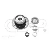 GSP Wheel Hub Assembly - 225010K