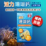 【加拿大進口】活力珊瑚鈣 180粒★★國家品質金牌獎，成份有加酪蛋白磷酸生酞COP★★不要買錯喔【合康連鎖藥局】