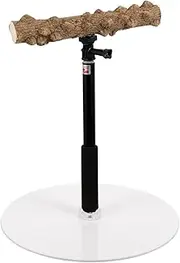 CORHAD Adjustable Height Parrot Stand Natural Bird Perch for Climbing Playing and Durable Easy to Clean Bird Play Stand