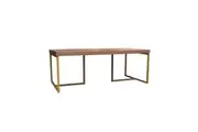 Shaan Walnut and Gold Coffee Table