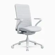 Desky Pro Ergonomic Mesh Chair