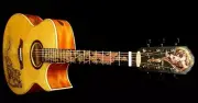 Blueberry Handmade Jumbo Size Acoustic Guitar Tiger Motif Pre-Order 90 Days