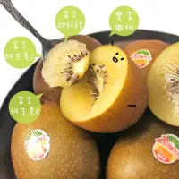 在飛比找Yahoo奇摩購物中心優惠-【鮮果日誌】紐西蘭 Zespri 金圓頭奇異果2箱(25-2