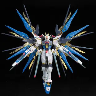 【BANDAI】 組裝模型 GUNDAM鋼彈 RG 1/144 ZGMF-X20A 攻擊自由鋼彈 14