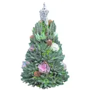 Baodan Christmas Gifts Surprise Christmas Gift Succulent Christmas Tree B