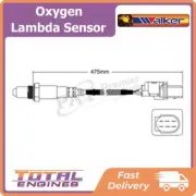 Walker Oxygen Lambda Sensor fits Porsche Cayenne 9PA 3.6L VR6 M 55.01 (for: Porsche)