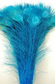 25 Pcs BLEACHED PEACOCK TAILS Feathers 35-40" TURQUOISE; Costume/Art/Crafts