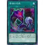 【卡の家】遊戲王 DBIC-JP035 慘禍之咒眼 (普卡/普鑽)