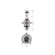 Narva H4 Halogen Globe Lights Headlight 12 Volt 130/100W P43T 48951