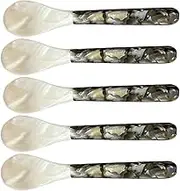 YRTUOP Mother of Pearl Caviar Spoons | 5 Pieces Mother of Pearl Spoon | Caviar Server Decorative Caviar Spoons for Caviar Egg Ice Cream