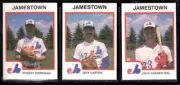 1987 Pro Cards Jamestown Expos 30-card Minor League Team Set John Vanderwal