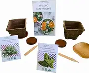 Organic Leafy Greens Starter Garden Kit