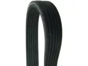 Multi Rib Belt For 14-19 Porsche Cayenne Panamera 3.6L V6 Turbocharged GR16N8