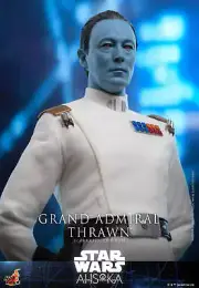 Star Wars Grand Admiral Thrawn 1/6 Scale Figure by Hot Toys