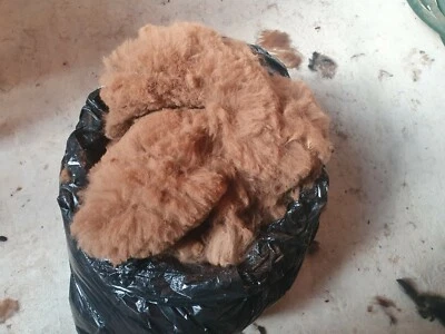 Rockleigh Alpacas - Alpaca Fleece - Brown - Ray - 600g