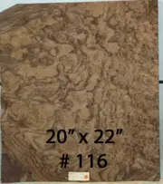 Walnut Burl wood veneer 20" x 22" raw no backing 1/42" thickness AAA grade # 116