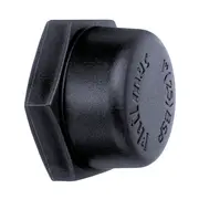 Philmac 2" BSP Thread Pipe Cap