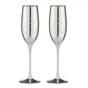 2PK Estelle 240ml/26cm Champagne Glass Cocktail Stemware Cup Drinkware Silver